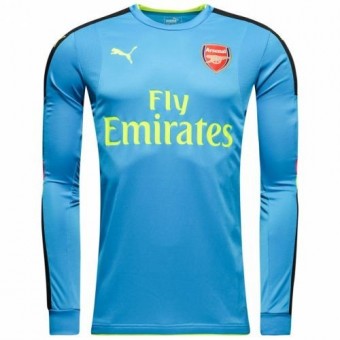 Вратарская форма Arsenal Гостевая 2016 2017 с коротким рукавом 7XL(64)